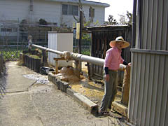 ��������<s>������</s>�ڂ����������Ă���܂���